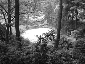 ../2000/07/30-mt_auburn-MA-cove_1.jpg