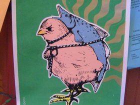 flier soltero