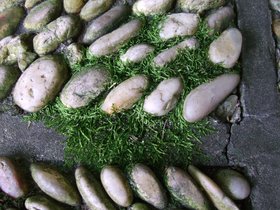 ../2009/09/07-1453-staten_island-NY-si-snug_harbor-scholars-garden-rocks-moss.jpg