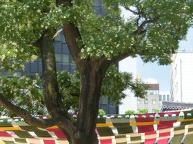 ../2012/07/29-1120-korea-by_nora.jpg