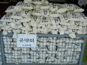 ../2012/07/29-1121-korea-by_nora.jpg