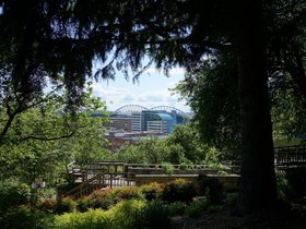 seattle (54)