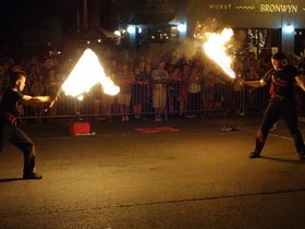 fire (20)