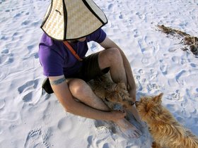 ../2014/10/15-1435-by_nora-beach-casper-wingaersheek-MA-dog-maggie-joseph.jpg