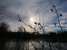../2014/11/22-1346-fresh_pond-MA.jpg