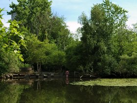 ../2015/08/08-1558-fresh_pond-MA.jpg