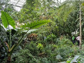 ../2019/03/17-1556-garden-holland_MI.jpg