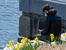 ../2020/04/19-1128-flower-charles_river-MA-pandemic.jpg