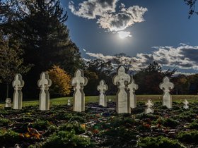 ../2024/10/26-1556-autumn-cemetery-mt_auburn-MA.jpg