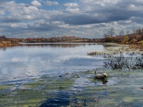 ../2024/11/01-1420-charles_river-MA-nixie.jpg