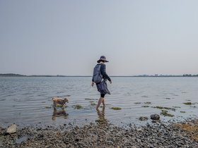../2025/08/03-1543-carson_beach-MA-nora-nixie.jpg