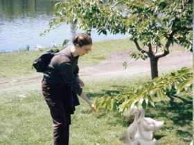 ../1990-2000/00/scan-0646-geese-charles_river-maddie.jpg