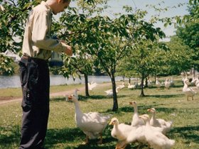 ../1990-2000/00/scan-0650-geese-charles_river-joseph.jpg