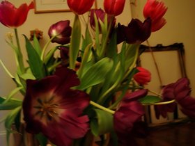 ../1999/12/19-flower.jpg