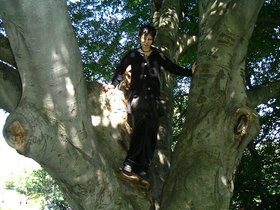 ../2000/05/30-tree-d-nora.jpg
