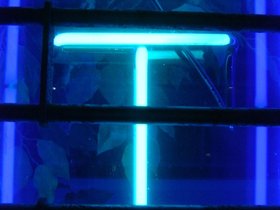 ../2000/06/27-T-party.jpg