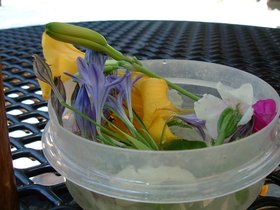 ../2000/07/02-playground-flower.jpg