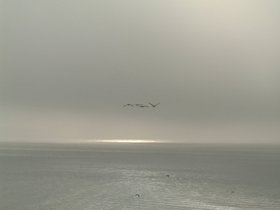 ../2000/08/25-ucsb-CA-d.jpg