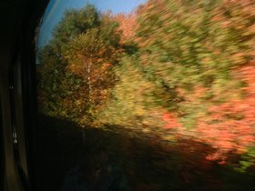 ../2000/10/13-NYC-NY-leaf.jpg