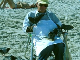 ../2001/02/06-bird-miami-FL.jpg