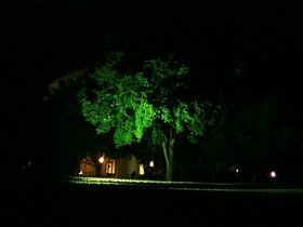 ../2001/06/06-night-ride-MIT-commencement-tree.jpg