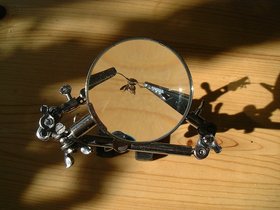 27-lense-bug.jpg