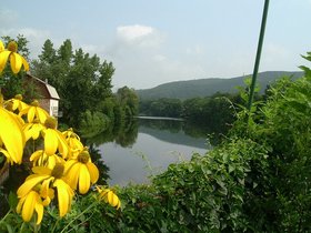 ../2001/08/13-road_trip-shelburne-MA-falls-flower-bridge.jpg