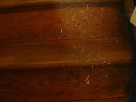 ../2001/12/24-baltimore-MD-steps.jpg