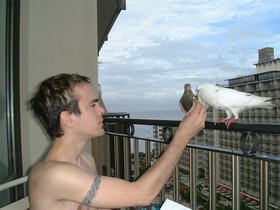 ../2002/05/04-oahu-HI-waikiki-balcony-pigeon.jpg
