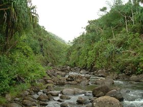 ../2002/05/14-kauai-HI-hanakapiai-stream.jpg