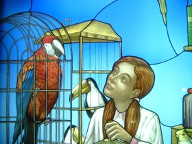 central sq night eyes