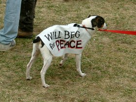 ../2003/03/29-boston-MA-commons-protest-dog.jpg