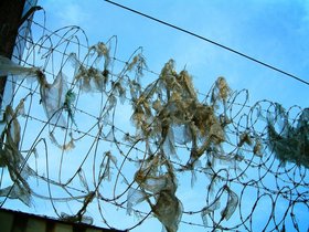 ../2003/11/01-brooklyn-NY-gowanus-barbed-wire.jpg