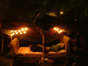 ../2004/01/06-miami-FL-everglades-ottoman.jpg