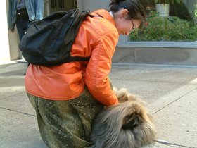 ../2004/03/08-brooklyn-NY-weird-dog.jpg
