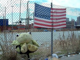 29-brooklyn-NY-kermit-flag.jpg
