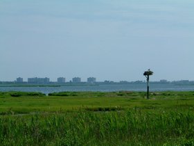 ../2004/06/23-brooklyn-NY-jamaica_bay.jpg
