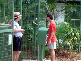../2004/08/04-miami-FL-parrot-joe-dad-greg.jpg