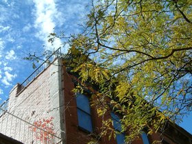 ../2004/10/31-brooklyn-NY-president-street-st-sky.jpg