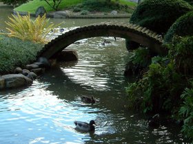 ../2005/10/16-brooklyn_botanical-garden-pond.jpg