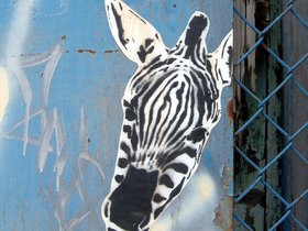 27-brooklyn-NY-stencil-zebra.jpg