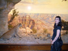 ../2006/06/26-amnh-NY-nora-lion.jpg