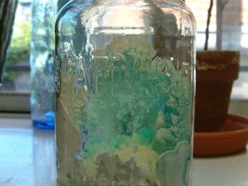 ../2007/06/23-kitchen-crystal-plant.jpg