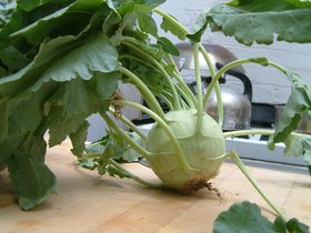 23-kitchen-kohlrabi.jpg