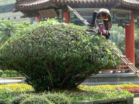 ../2007/08/01-0918-by_nora-peacepark-landscaper.jpg
