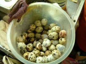 ../2007/08/05-1932-by_nora-night-market-eggs.jpg