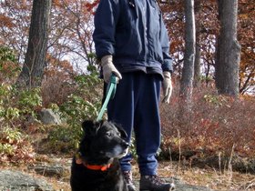 ../2007/11/24-1107-harriman_park-NY-st-park-dennis-lucy.jpg