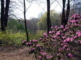19-1317-brooklyn-NY-prospect_park-park.jpg