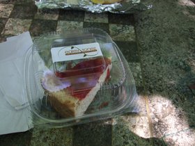 25-1151-earthtonez-vegan-cheese-cake.jpg