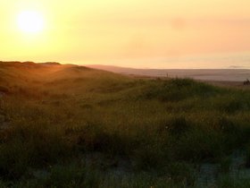 ../2008/06-by-nora/21-0551-fire_island.jpg